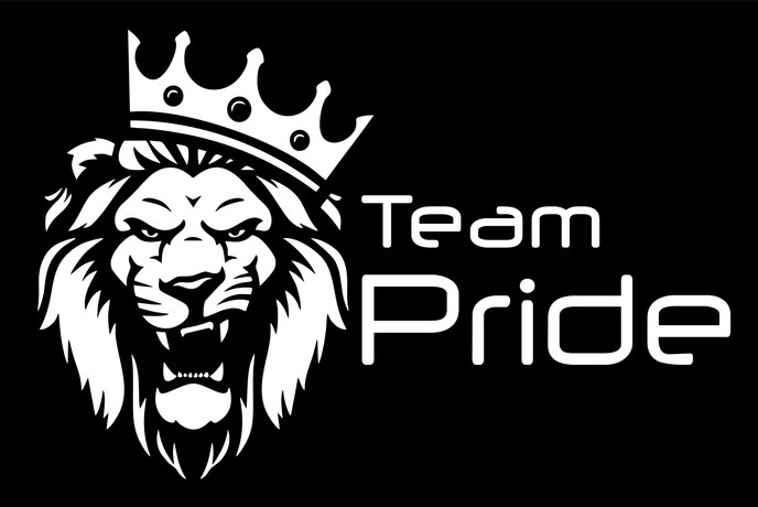Флаг Team Pride